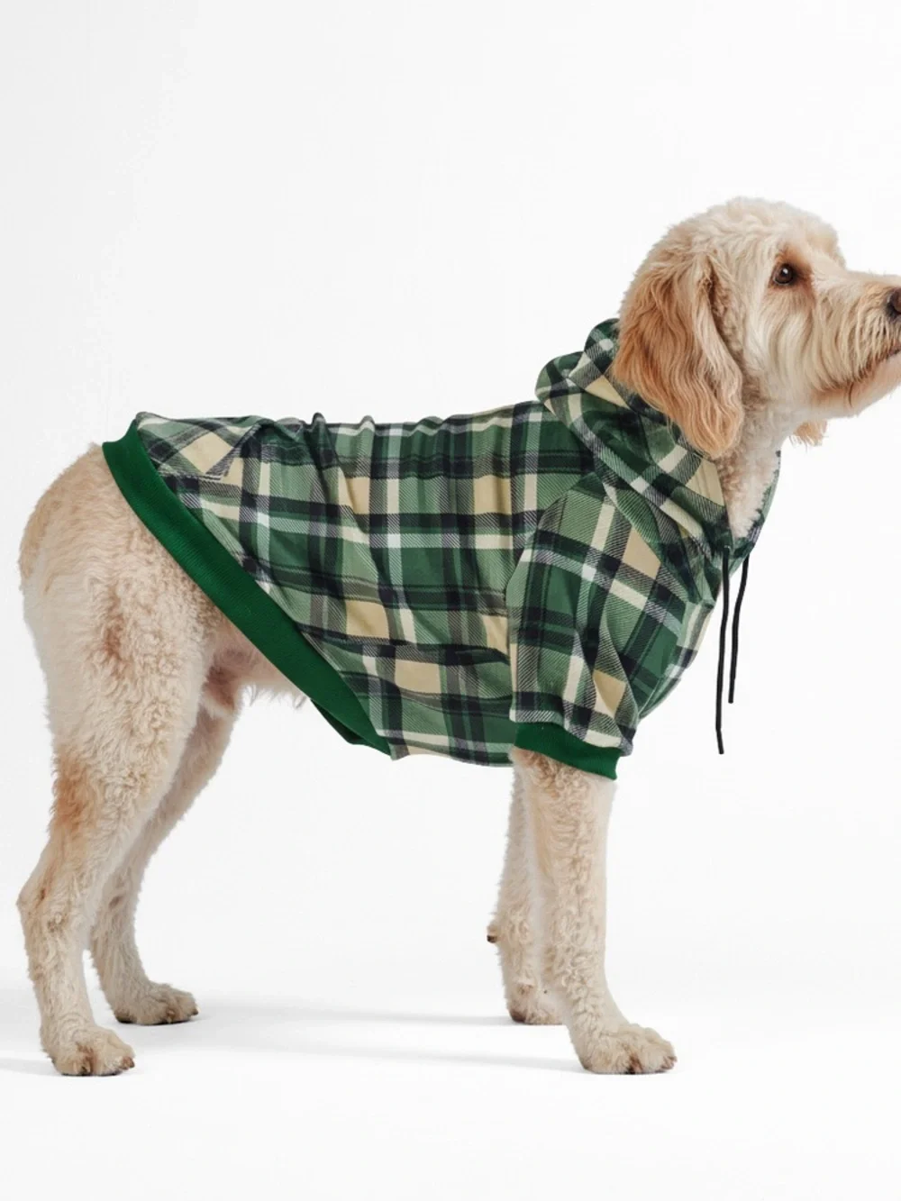 Spark Paws Green Plaid Dog Hoodie
